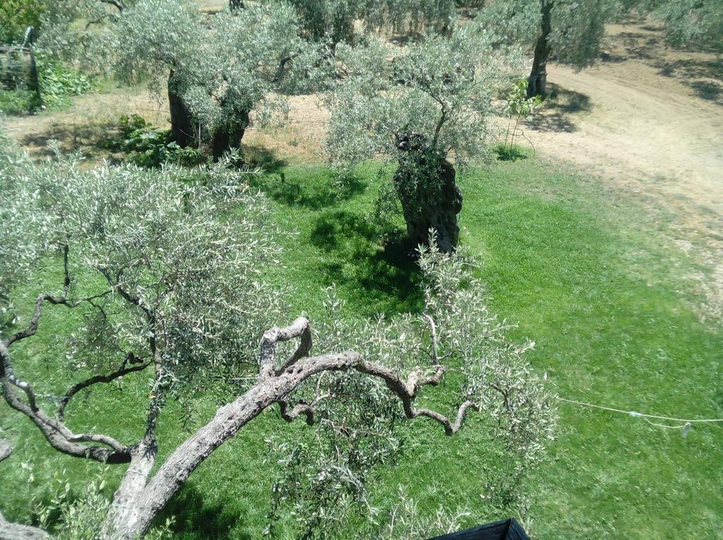 Skala Rachoni  Villa Thomi المظهر الخارجي الصورة