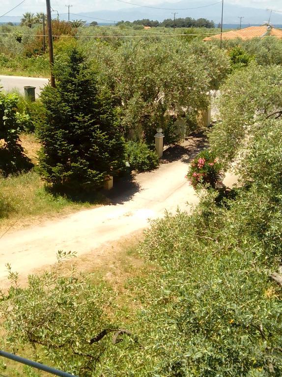 Skala Rachoni  Villa Thomi المظهر الخارجي الصورة